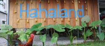 Hahaland - Hostel