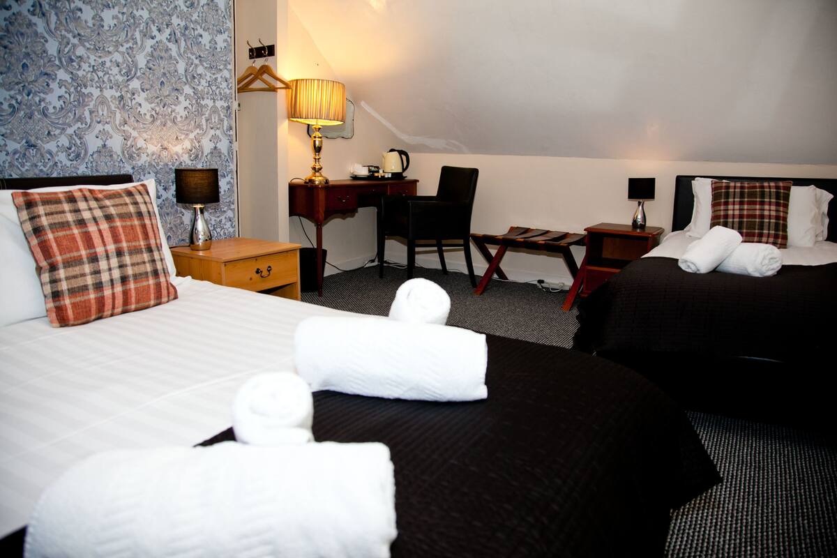 Standard Double or Twin Room, Multiple Beds, Non Smoking | Blackout drapes, iron/ironing board (on request), WiFi (free)
