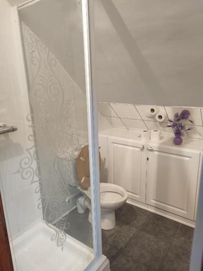 A bathroom with a shower, toilet, and sink. - Pentre Riding Stable and Accommodation (Swansea)