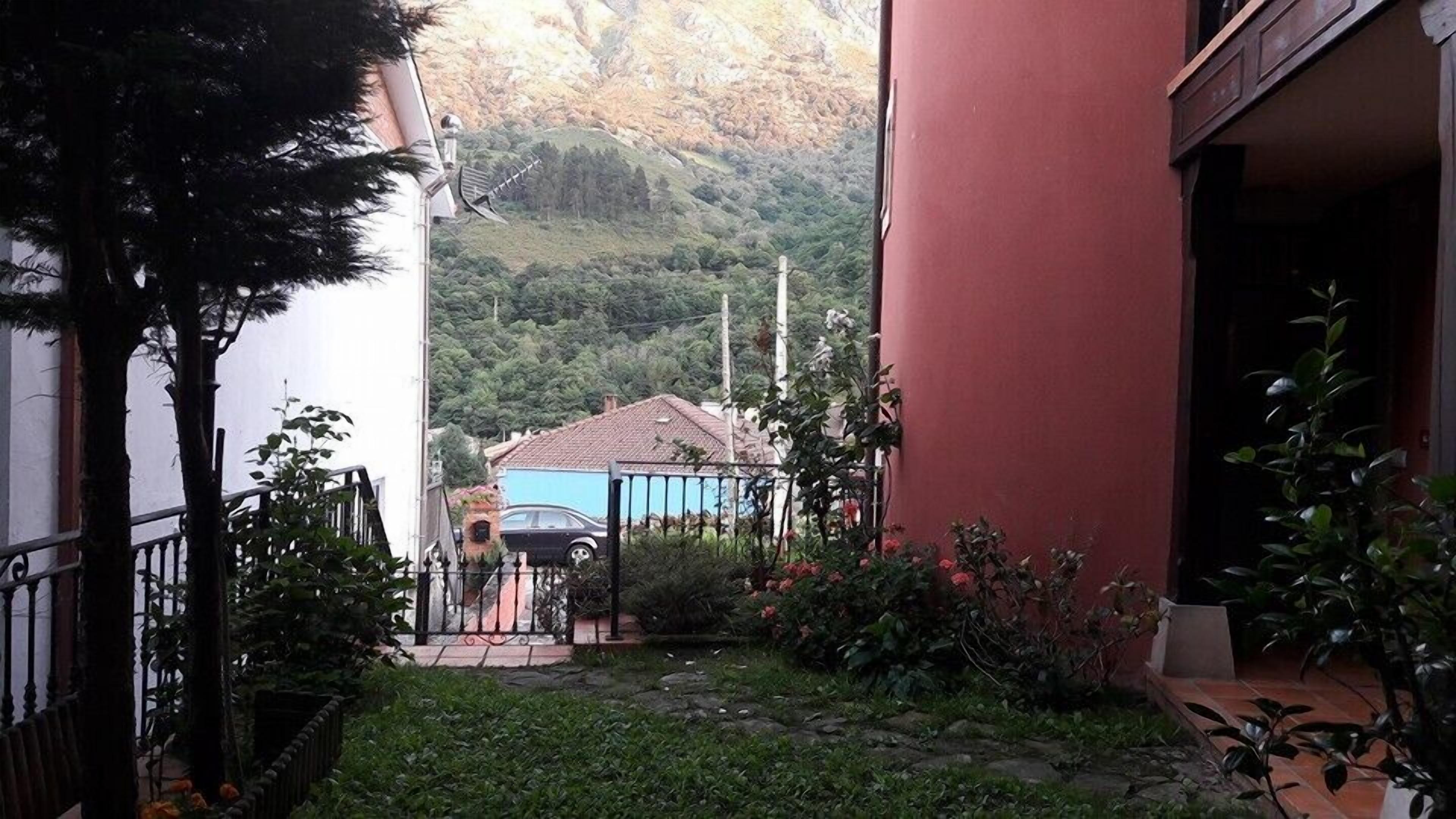 double room, non smoking | mountain view