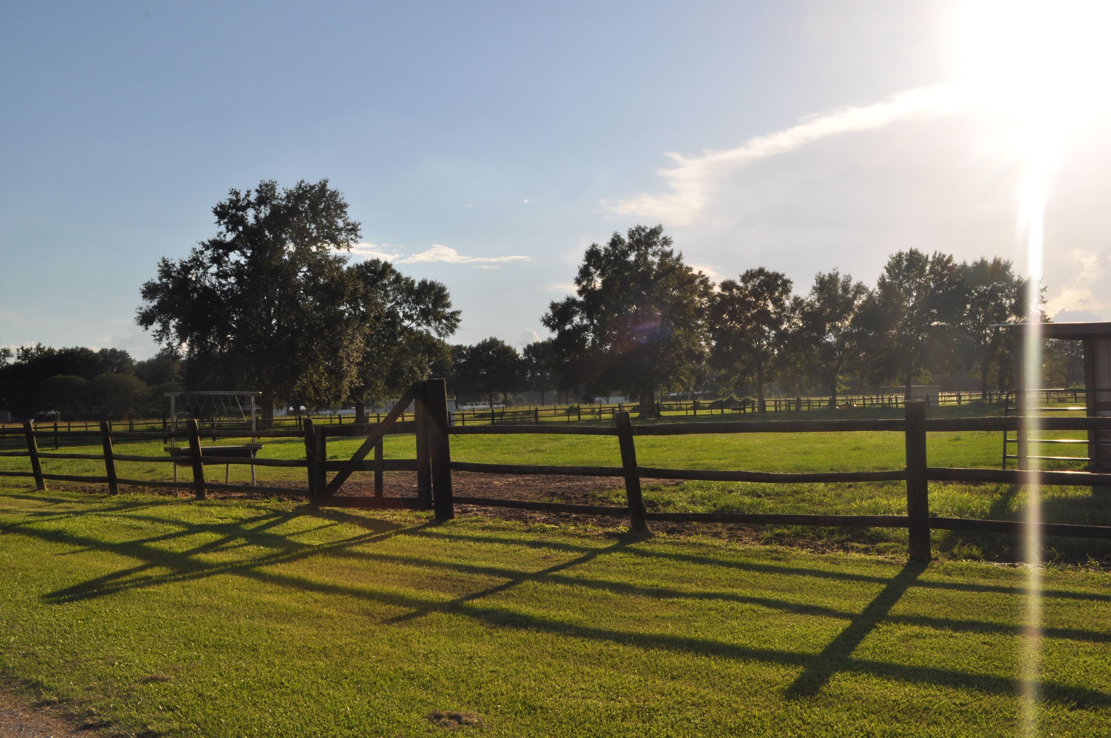 A fenced outdoor area with grass and trees, a wooden structure, and a clear sky.