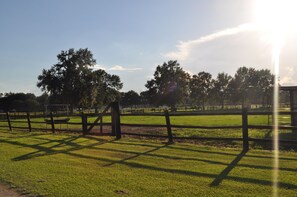 Property grounds - Farm Charm    Enjoy the Great Scenery (Scott)