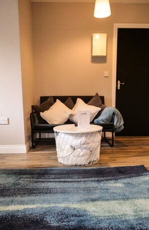 Interior - Luxury Apt , w/2 bath -Perfect for large groups!! (Dublin 1)
