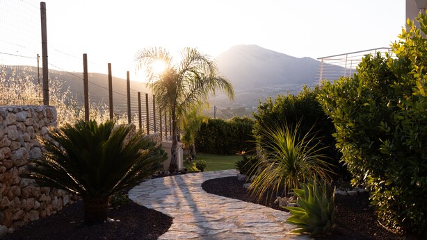 A stone pathway leading through a landscaped garden with palm trees and shrubs, bordered by a stone wall and a wire fence, with a mountain in the background. - Villa Cristina - Relax - Pool and Sea View (Castellammare del Golfo)
