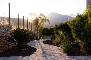 Ein gepflegter Garten mit Palmen und Sträuchern, durch den ein Kiesweg führt, begrenzt von einer Steinmauer und einem Drahtzaun, mit Bergen im Hintergrund.