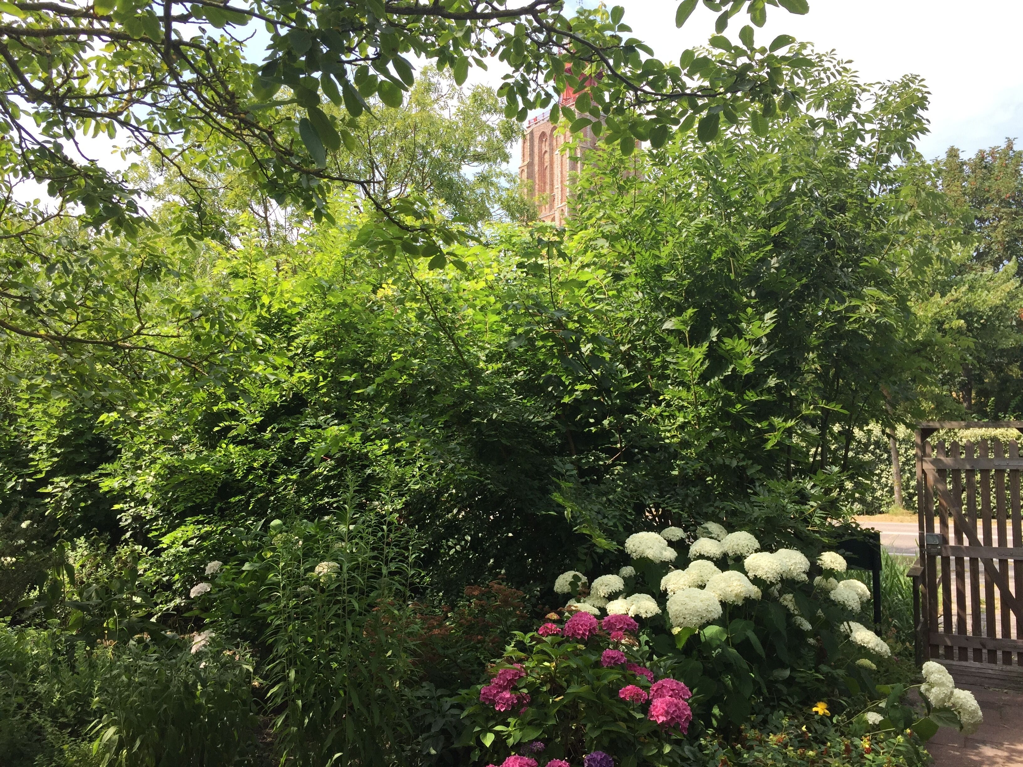 Enceinte de l’hébergement