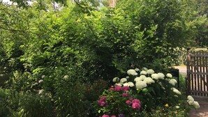 A lush garden with dense foliage and a variety of flowering plants. - Parkweg 21, Westkapelle (Westkapelle)
