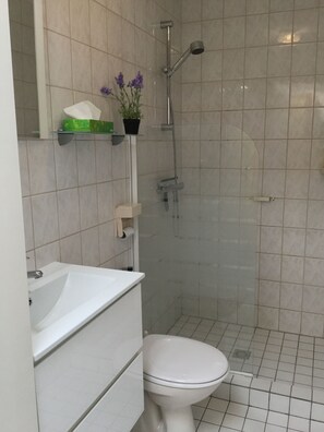 Hair dryer, towels, toilet paper