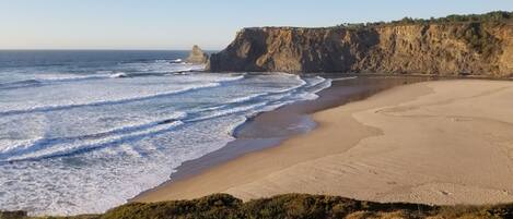 Ubicación cercana a la playa, tumbonas y toallas de playa