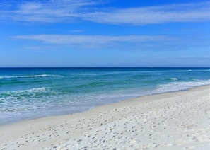 On the beach