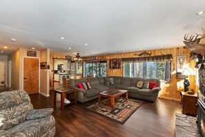 TV, fireplace, DVD player