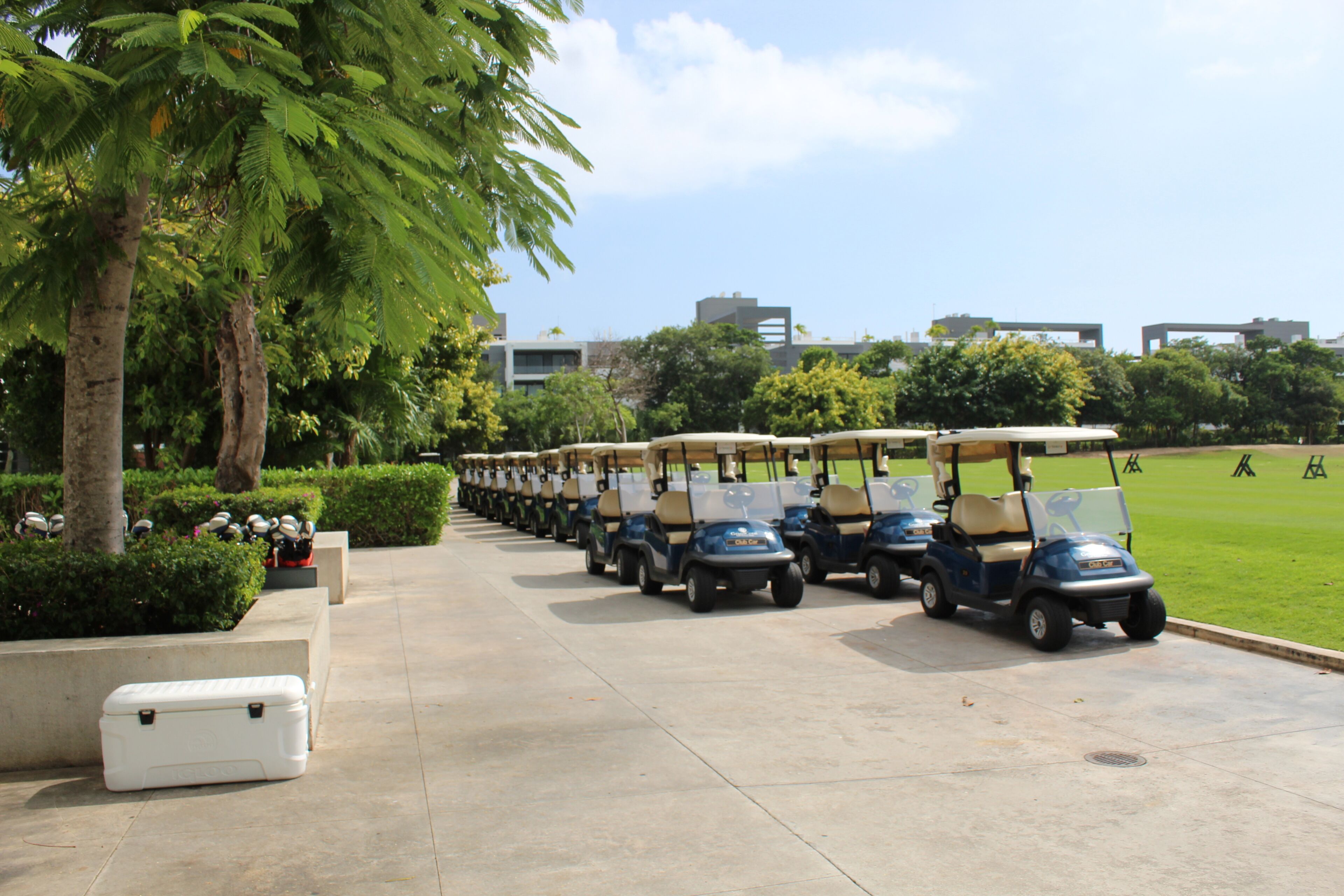 Una fila de carros de golf estacionados en un área pavimentada, con un campo césped y árboles al fondo.
