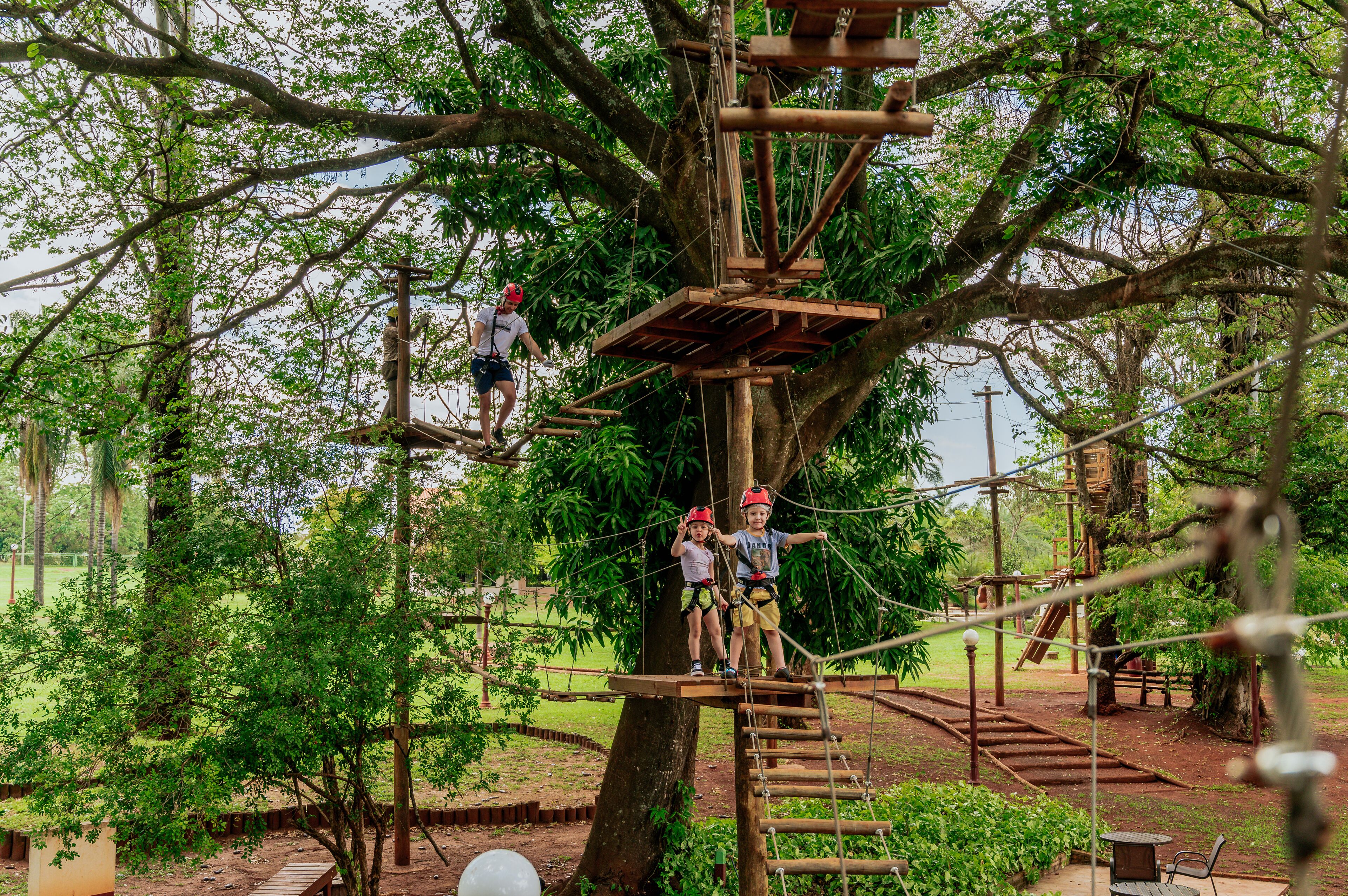 A treehouse structure with wooden platforms and ropes, surrounded by lush greenery.