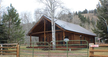 Cabina 2/2 con loft ubicado junto al bosque nacional