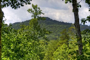 View from room - Aska La Vista (Blue Ridge)