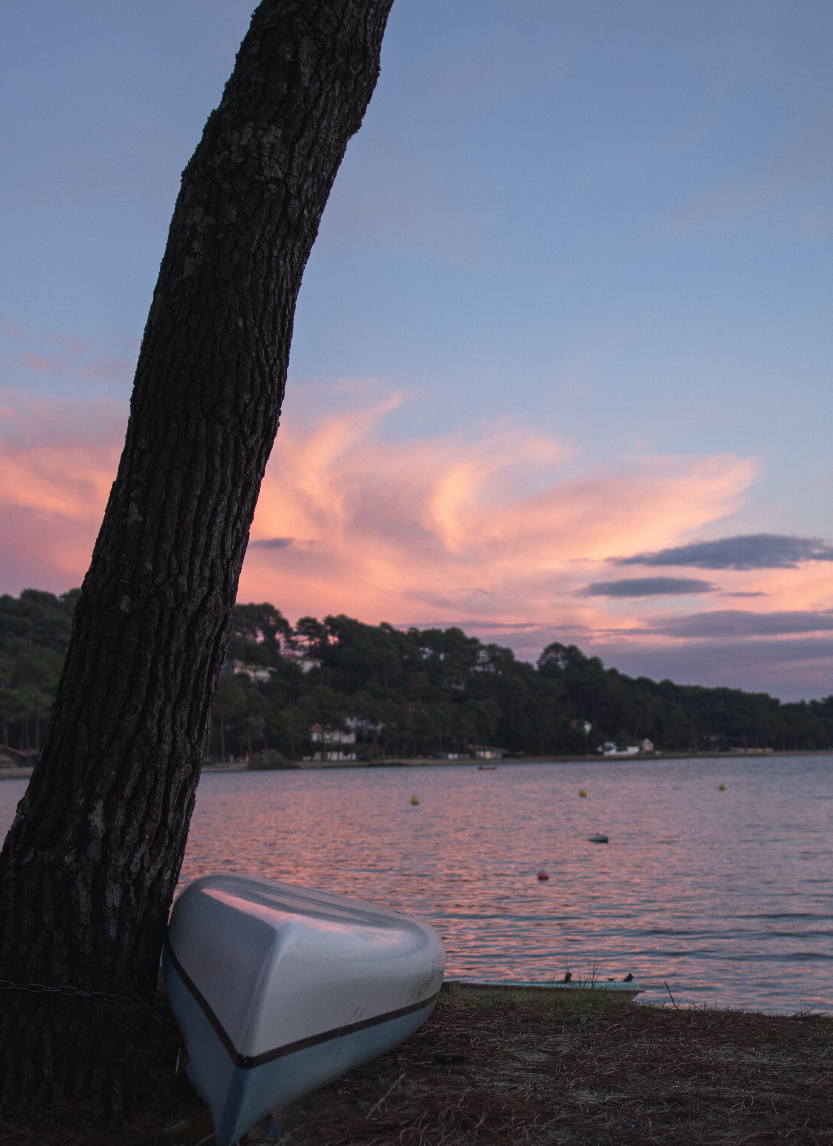 A tree trunk and a white object, possibly a cooler, by a calm body of water with a sunset sky.