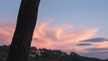 Un tronco de árbol y un objeto blanco, posiblemente una hielera, junto a un cuerpo de agua tranquilo con un cielo al atardecer.