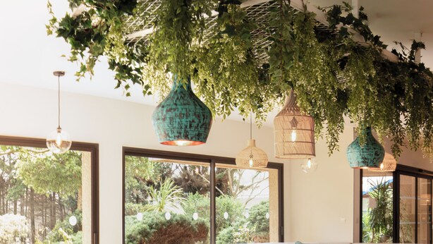 Un comedor moderno con una gran mesa ovalada, varias sillas y plantas verdes colgantes.