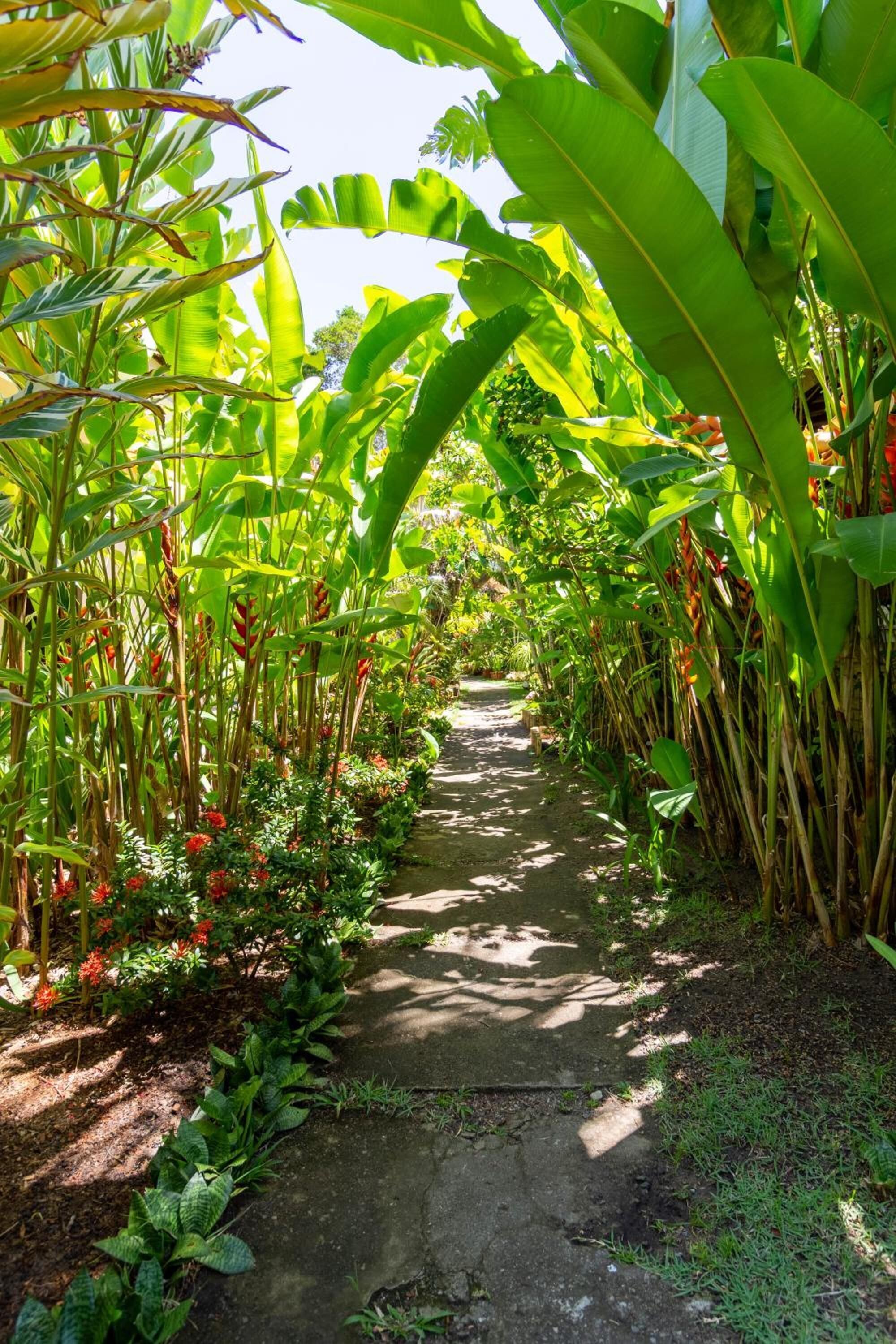 Foto - Suites de Charme Amoremio