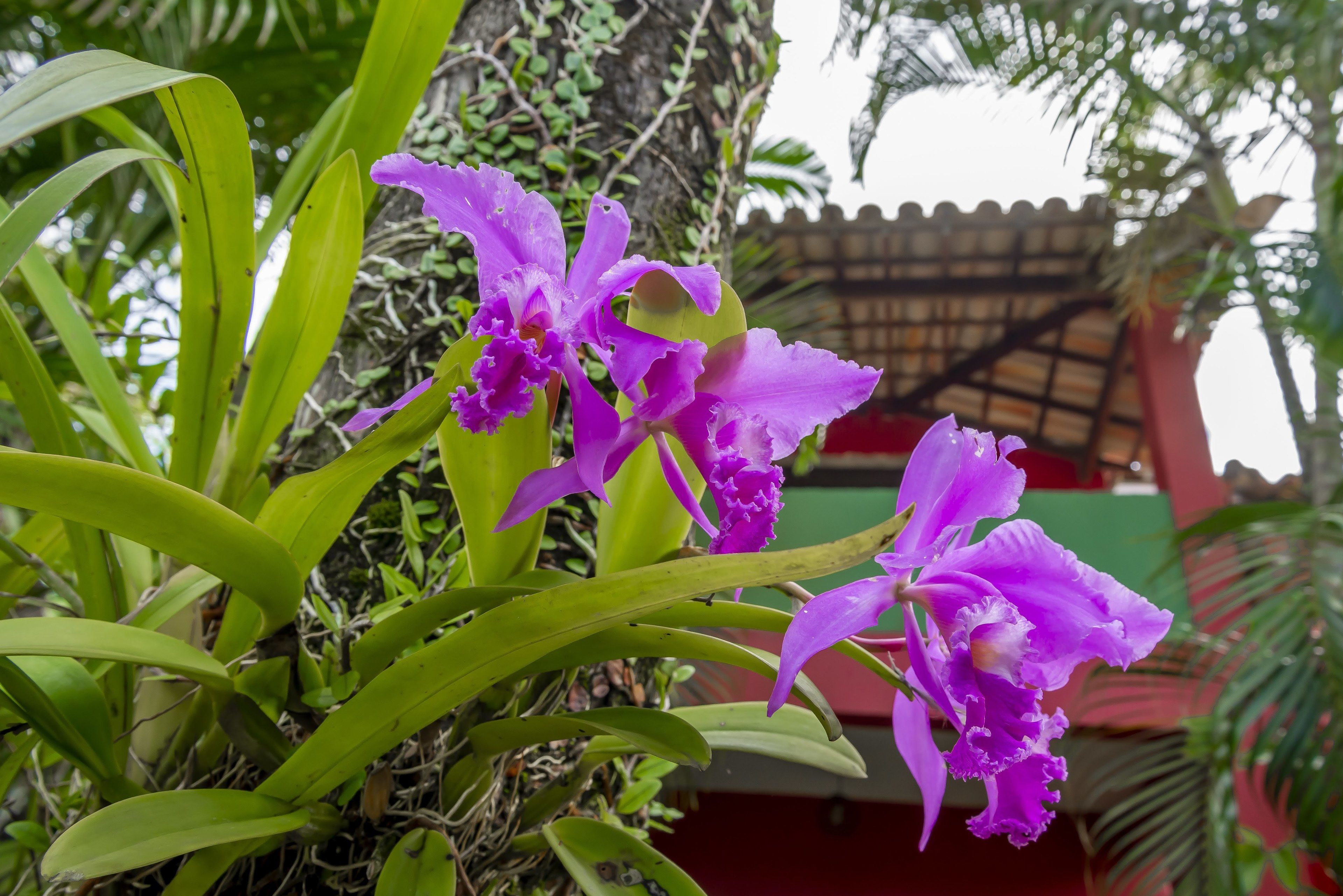 Foto - Suites de Charme Amoremio