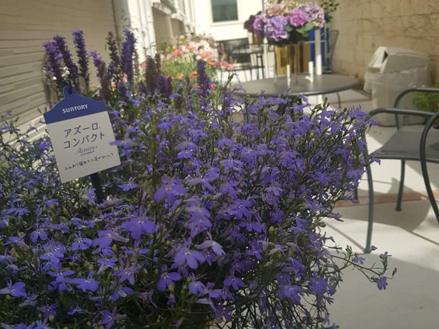 Detalhe da fachada