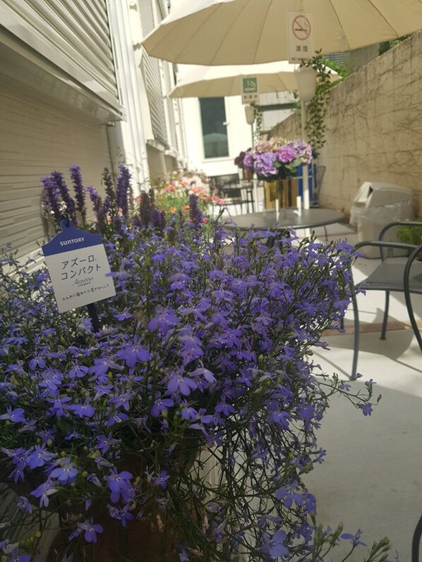 การตกแต่งภายนอก