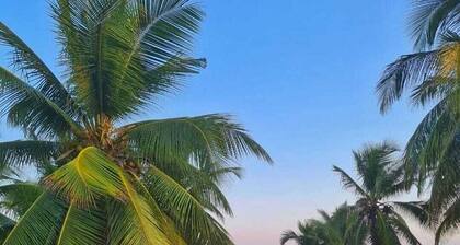 Mansion Stella Maris - swimming pool, sauna and barbecue area