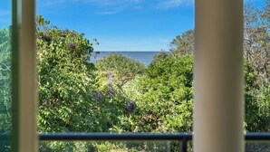 A view through a window with dense foliage and a clear blue sky. - Surfside - Shelly Beach Holiday Home (East Ballina)