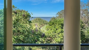 A view through a window with dense foliage and a clear blue sky.