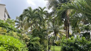 Un sentiero immerso nel verde e circondato da palme, che conduce a un edificio con balconi.