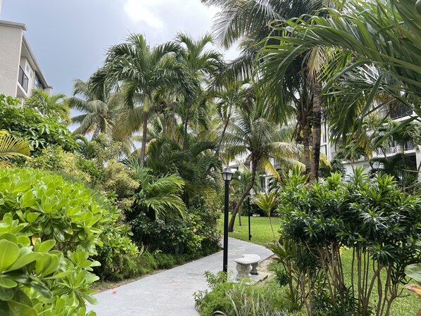 Property grounds - Lovely Beachfront Studio at Coral Beach – South Shore, Grand Bahama (Freeport)