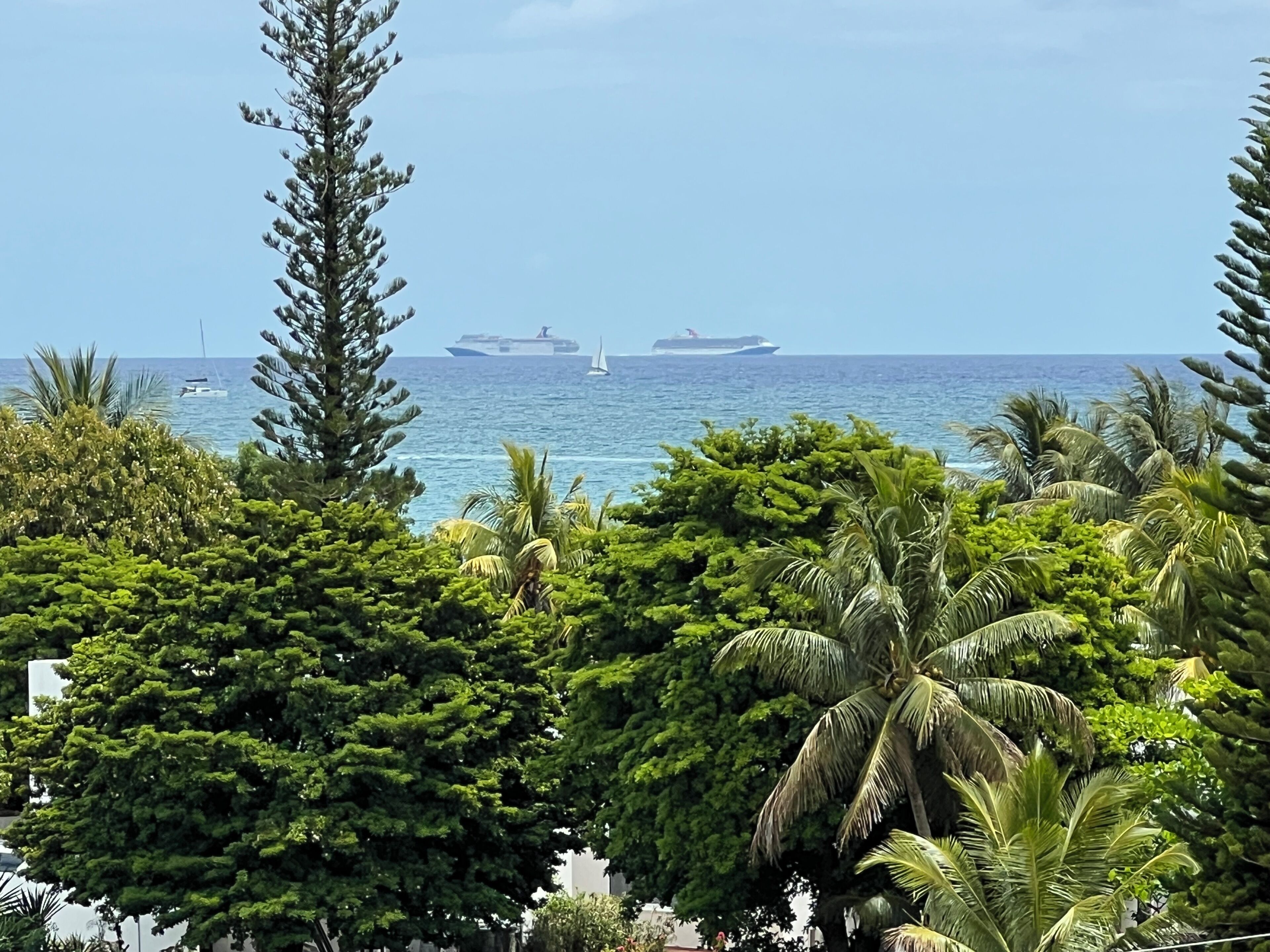 A coastal view with dense tropical foliage, a clear sky, and two large cruise ships in the distance.
