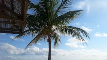 Beach nearby, sun loungers, beach towels