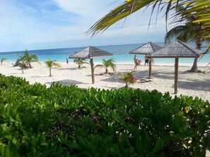 Beach nearby, sun-loungers, beach towels - Lovely Studio Apartment on the South shore of Grand Bahama Island at Coral Beach (Freeport)