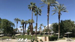A pool area with clear water, surrounded by palm trees and lounge chairs. - Mid Century Desert Oasis - Walk to Tennis Garden, Coachella/Stagecoach shuttle! (Indian Wells)