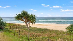Una playa con una sola palmera, olas del océano y cielo despejado.