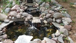 En lille sø med et vandfald, omgivet af sten og vegetation.