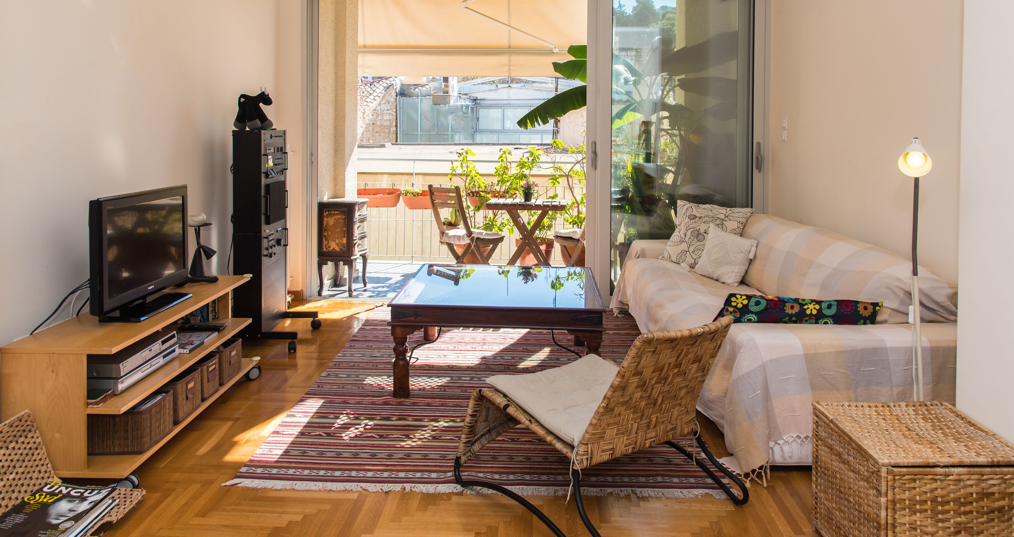 電視、DVD 播放機、書籍、音樂庫