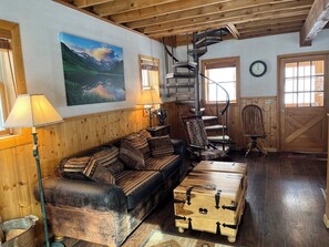 TV, fireplace, DVD player, books