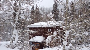 Una cabaña de madera cubierta de nieve rodeada de árboles.