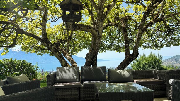Un conjunto de sillones de mimbre con cojines, una mesa de centro de vidrio y un comedero para pájaros colgando de un árbol.
