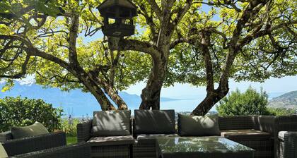 Spektakuläre Schweizer Ausblicke