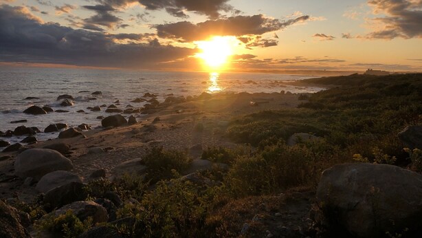 Tramonto su una spiaggia rocciosa con vegetazione sparsa.