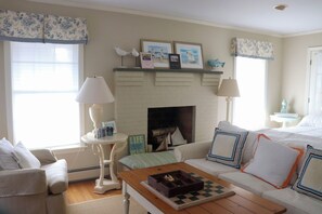 Una televisión, una chimenea, un reproductor de DVD, libros