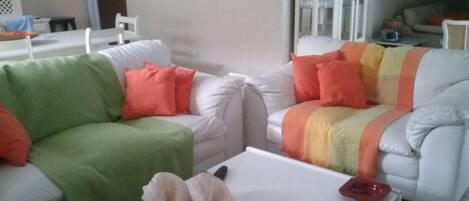 电视、DVD 播放器、立体声音响