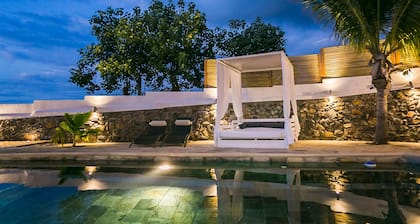 Grande Villa 5 * avec piscine et piscinelle chauffées en hiver à St Gilles