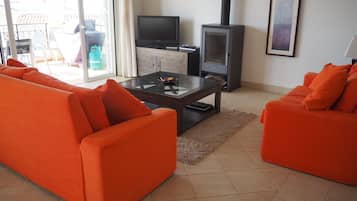 Een televisie, een open haard, een dvd-speler en een filmbibliotheek