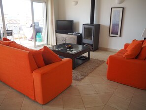 TV, fireplace, DVD player, video library