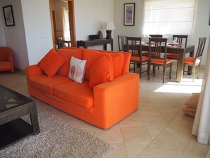 Télévision, cheminée, lecteur de DVD, vidéothèque