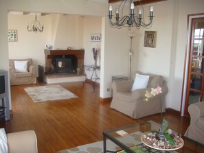 Smart TV, fireplace, video games, DVD player